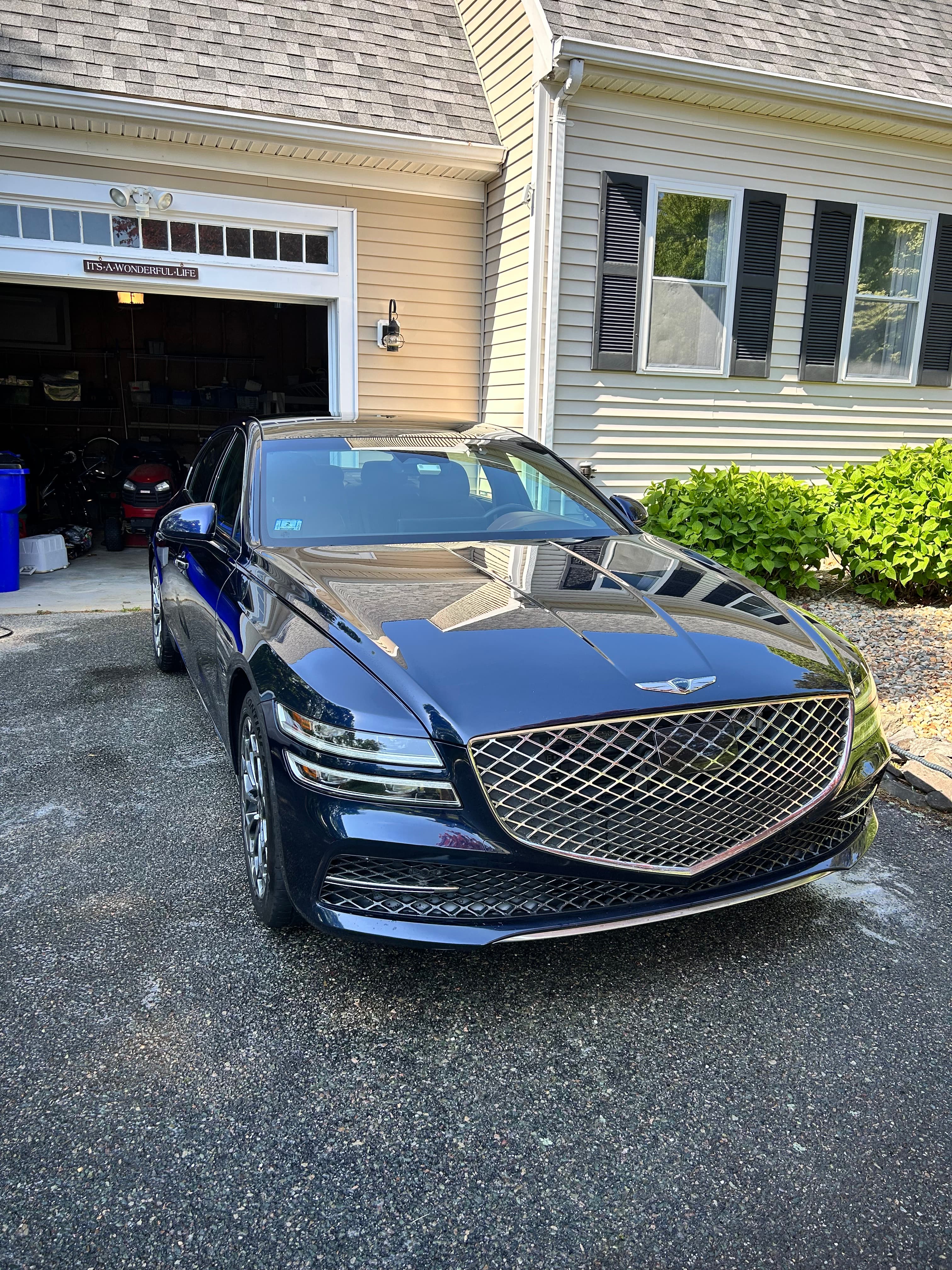 Genesis exterior detail result