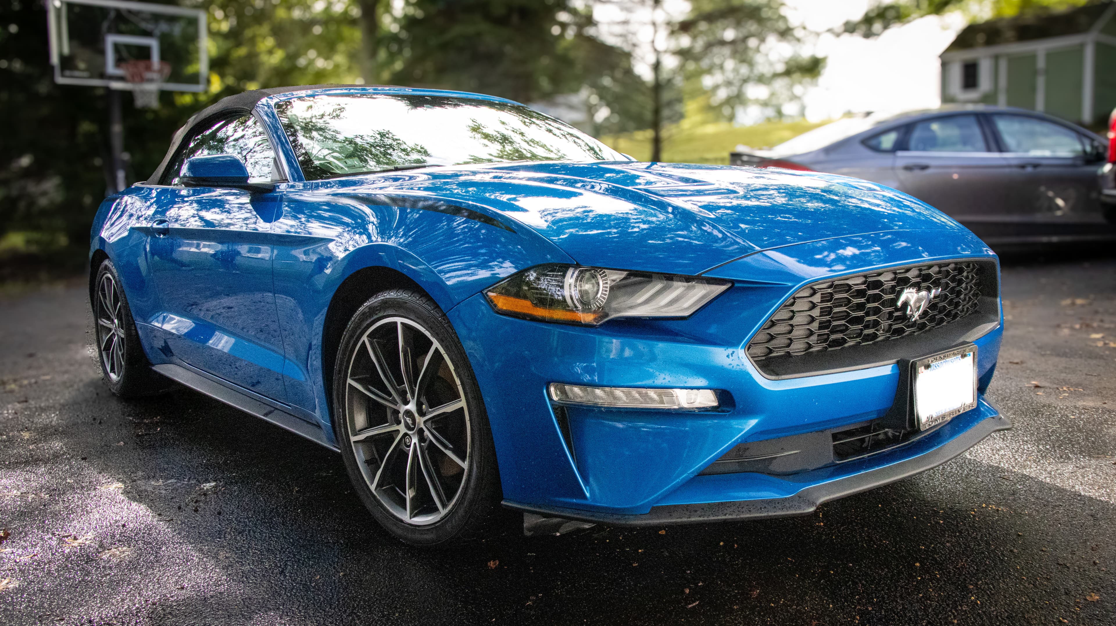CMT Detailing — clean Mustang detail